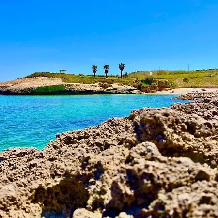L'ancora Blu